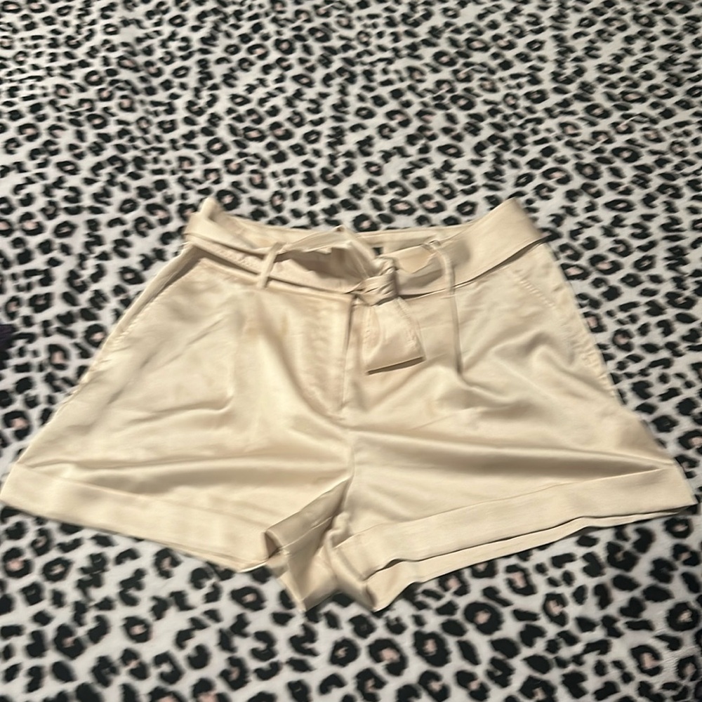 NWT Express satin feel flowy shorts with tie waist. Size 12